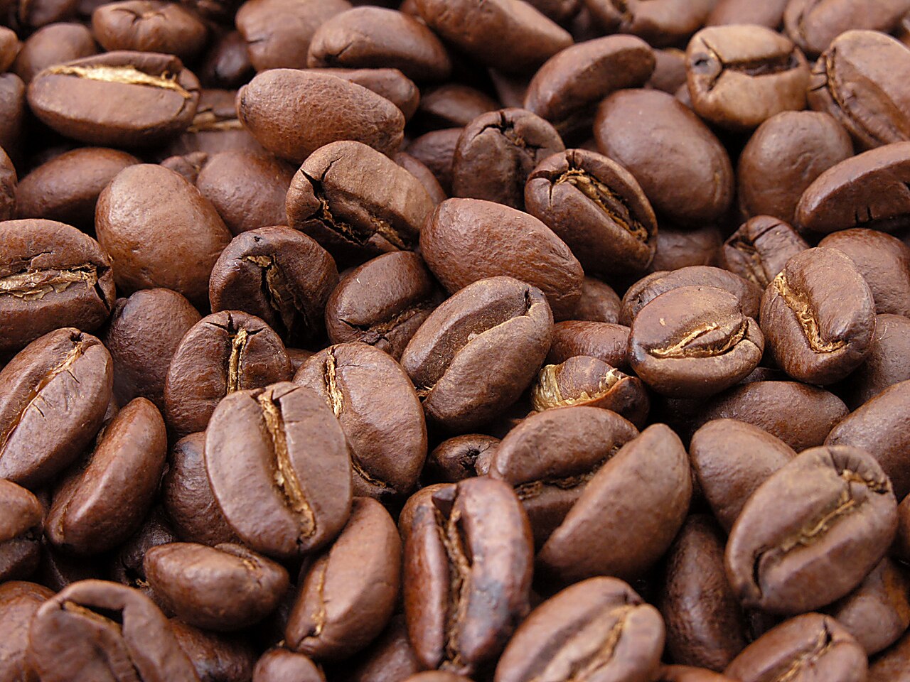 Coffee Beans - Dev Tandoor Industries